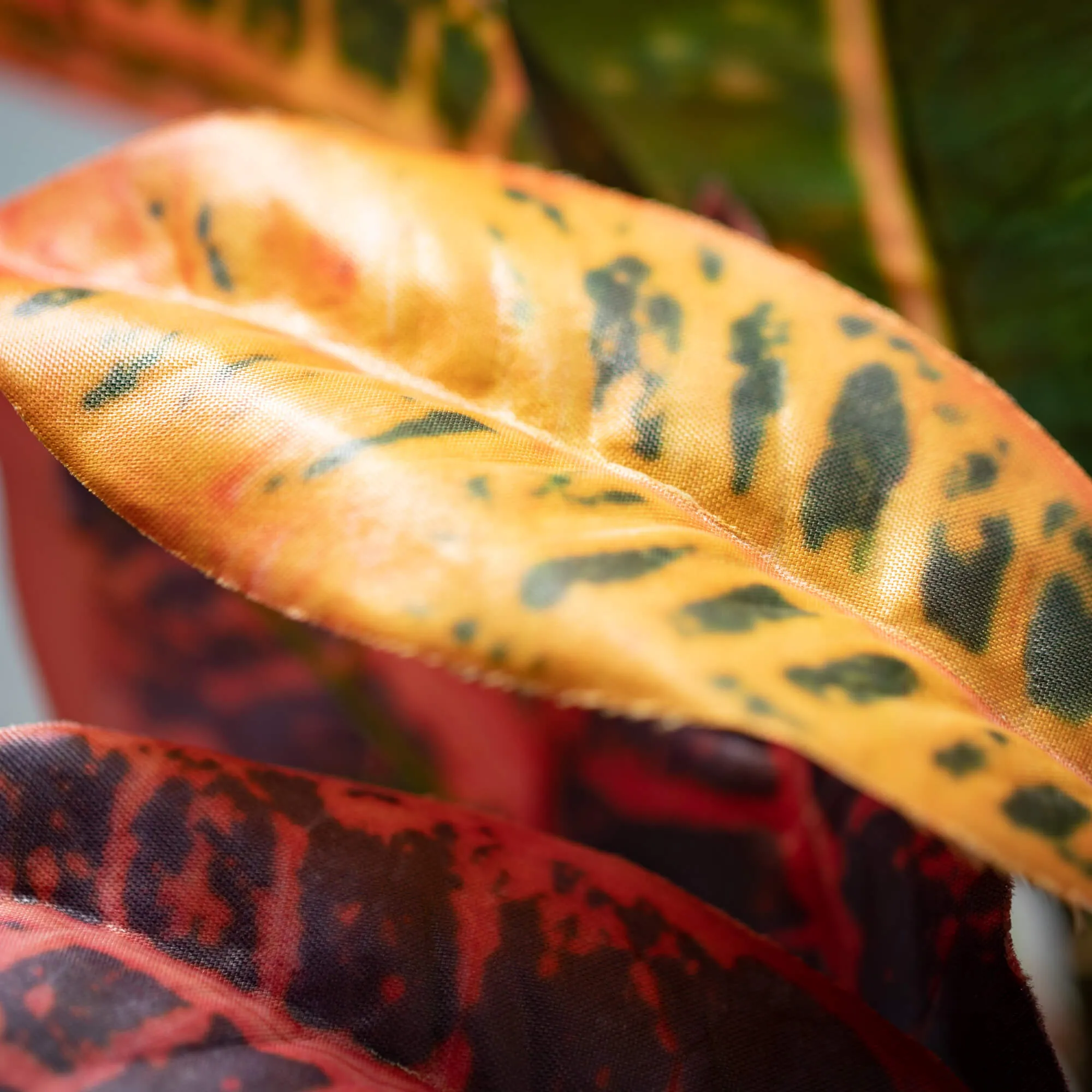 39"H Sullivans Blended Hue Croton Foliage, Multicolored