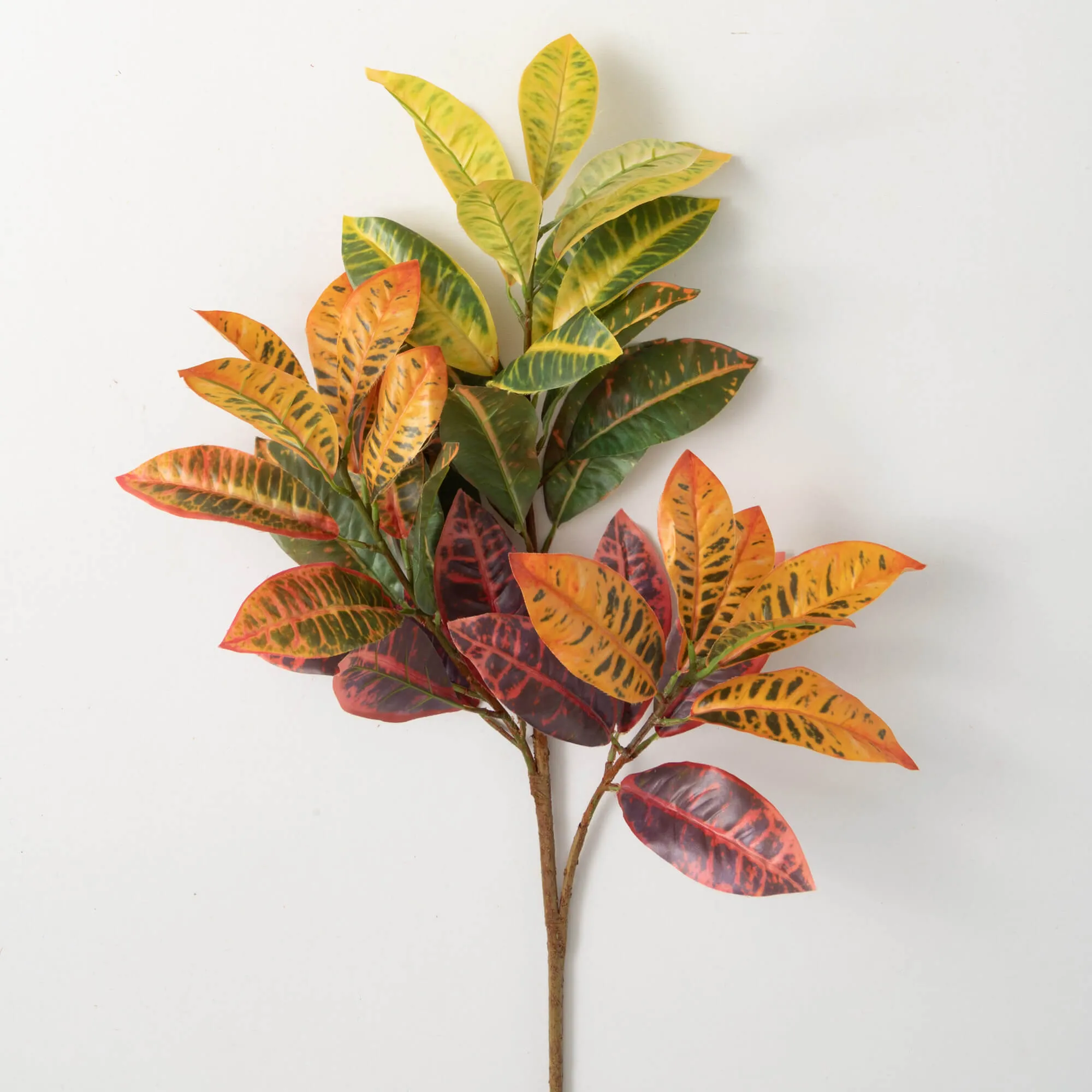 39"H Sullivans Blended Hue Croton Foliage, Multicolored